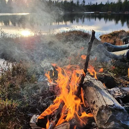 Kultahippu & 4* Ivalo