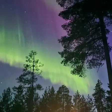 Kultahippu & 4* Ivalo