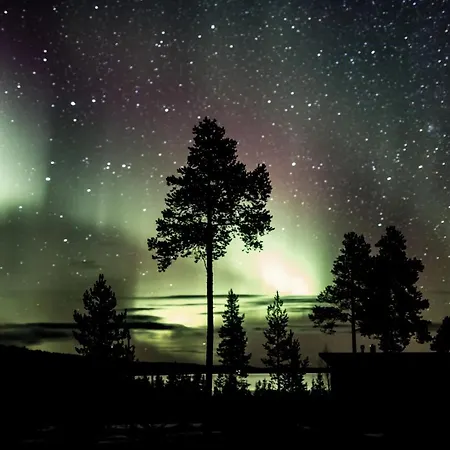 Kultahippu & Hotel 4*