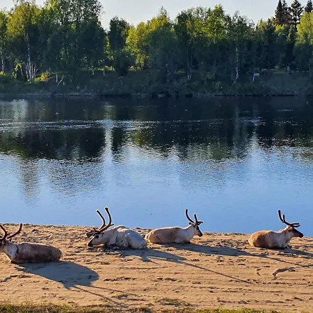 Kultahippu & Hotel 4*