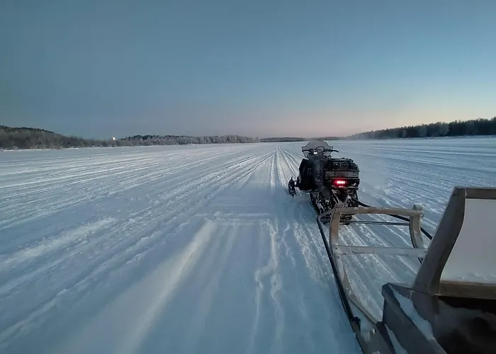 Kultahippu & إيفالو