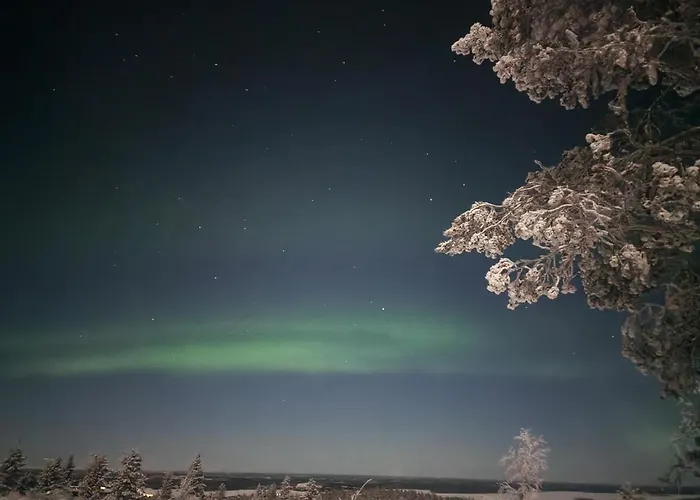 Kultahippu & إيفالو